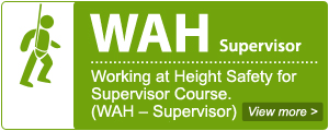 WAH Supervisor