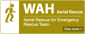 WAH Aerial Rescue