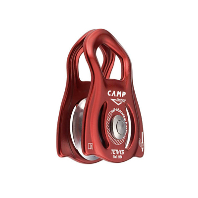 CAMP 2154