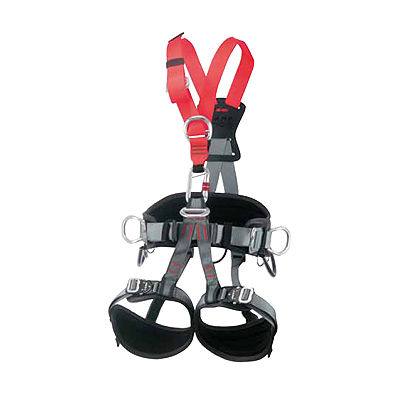 CAMP 941.01 - Golden Top PLUS ALU Harness